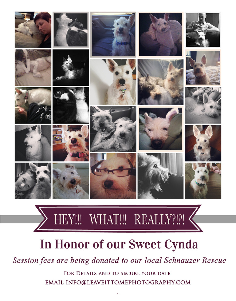 Cynda announcement