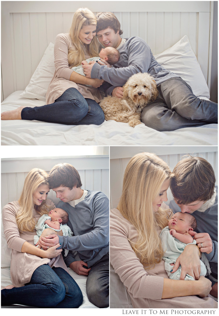 Berks County Family Photographer_Main Line Newborn Photographer_Schnoodle_Newborn Portraits