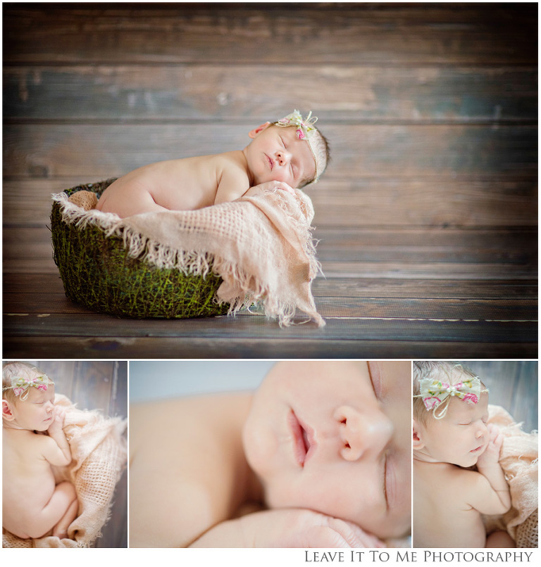 Baby Girl Newborn Images-Moss Basket