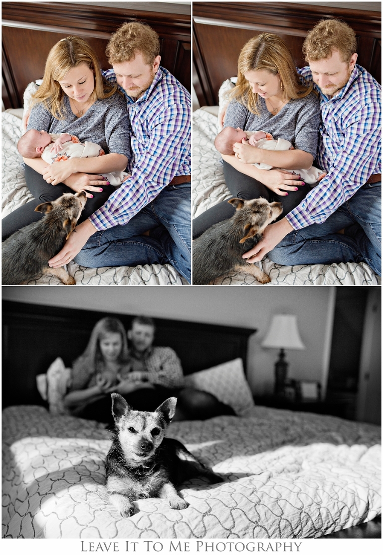 New Jersey Family Photograher_Newborn Photographer_Leave It To Me Photography 2